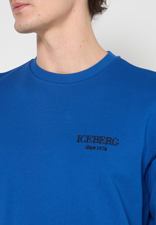 Iceberg