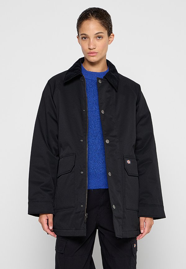 Dickies MEDINA