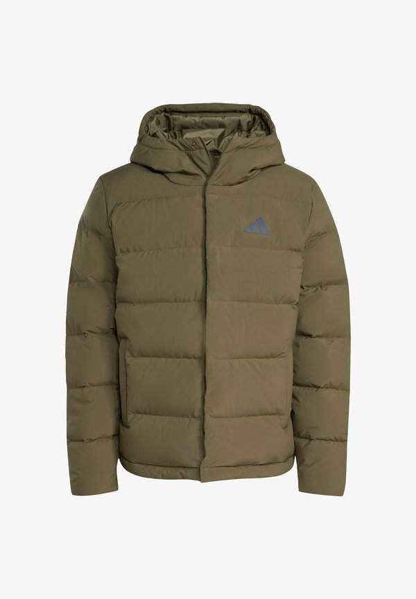 adidas Sportswear Down jacket - olive strata