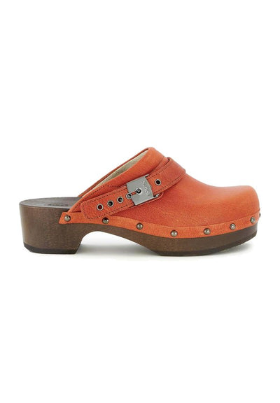 Scholl ROBIN