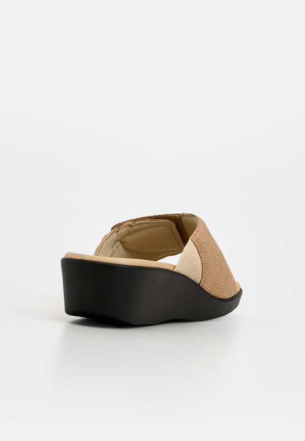 Scholl LEDEL