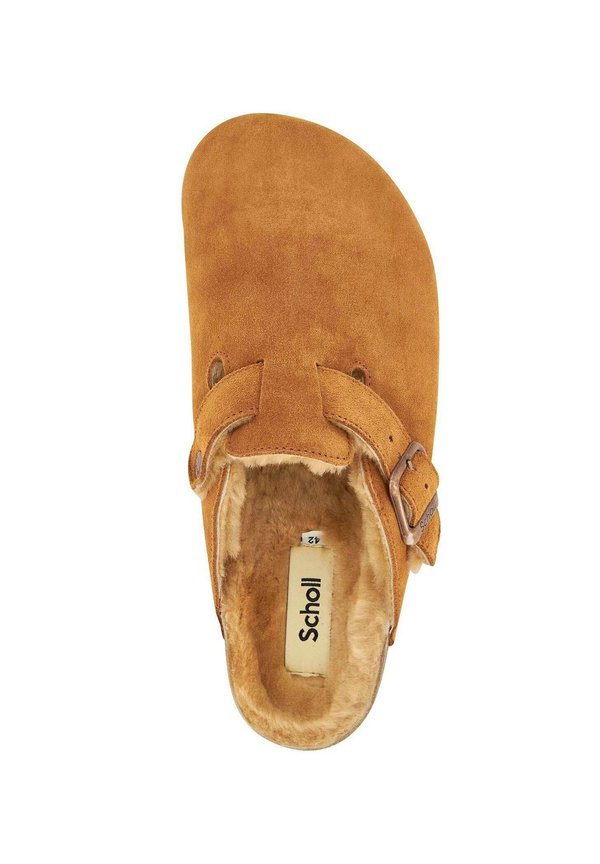 Scholl OLIVIER F NEW