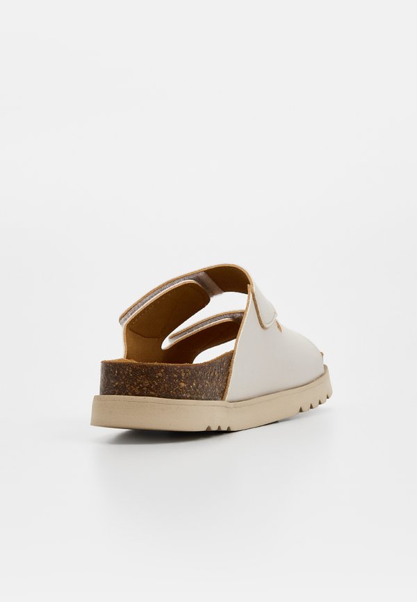 Scholl SIERR