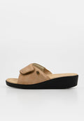 Scholl LEDEL