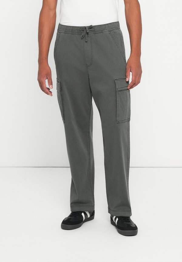 Hollister Co. BAGGY