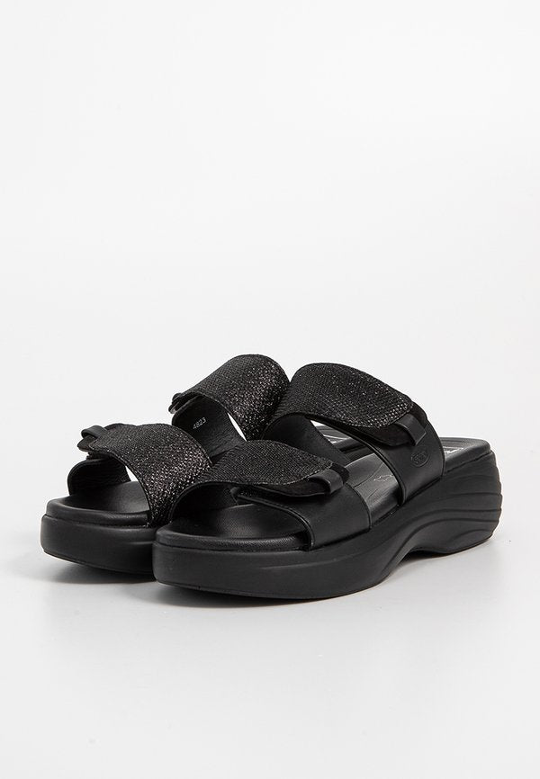 Scholl AURA