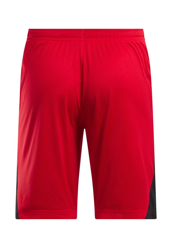Reebok Classic HOOPWEAR