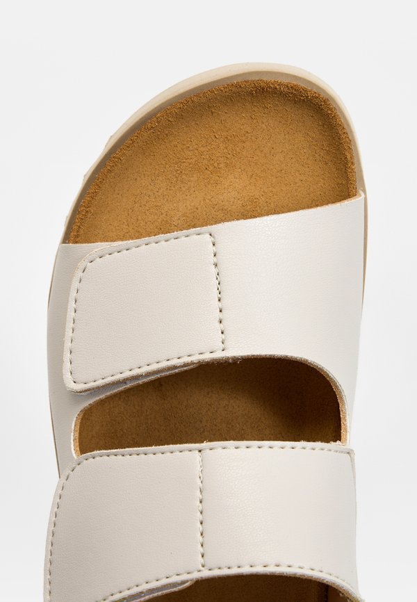 Scholl SIERR