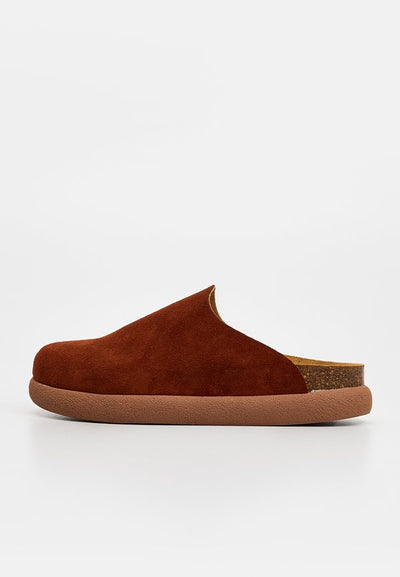 Scholl IVY