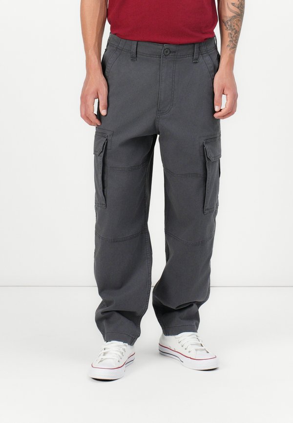 Hollister Co. SKATER BAGGY