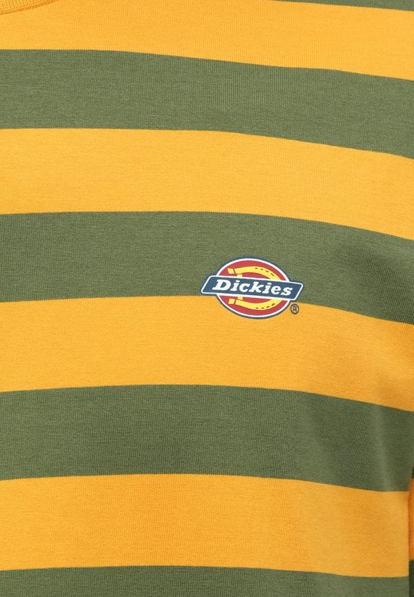 Dickies RIVERGROVE TEE