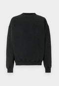 Hollister Co. WEBEX BOXY CREWS