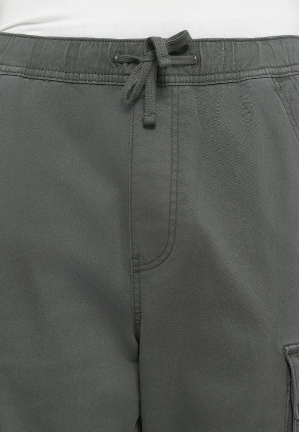 Hollister Co. BAGGY