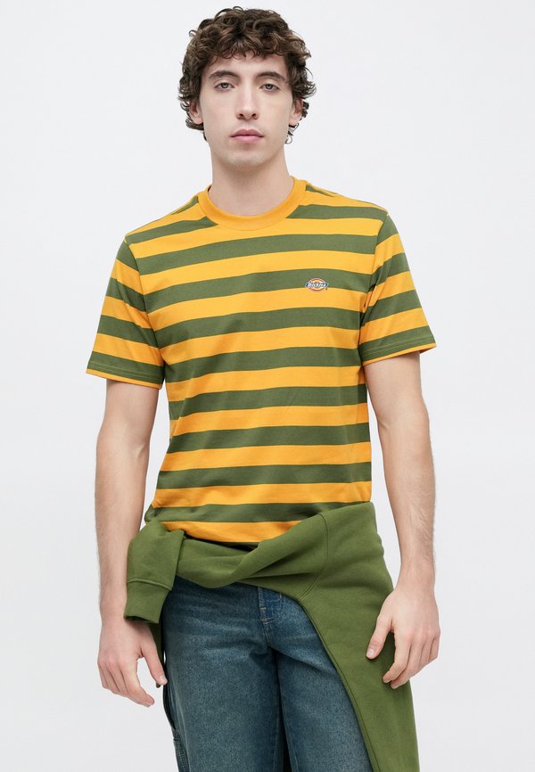 Dickies RIVERGROVE TEE