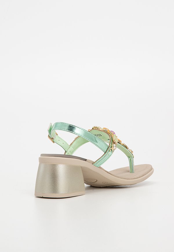 Scholl PALEA