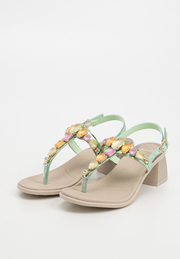 Scholl PALEA
