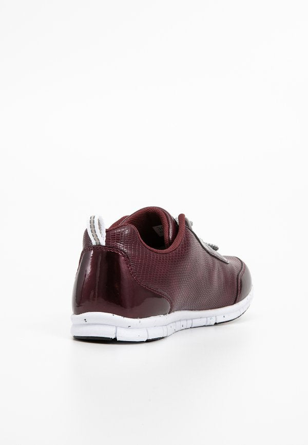 Scholl WINDSTEP TWO