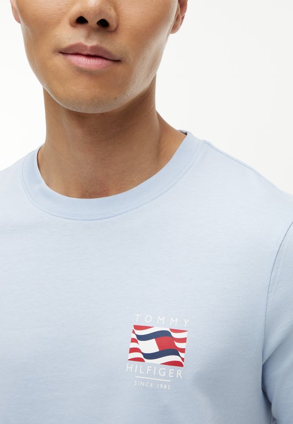 Tommy Hilfiger AMERICANA GRAPHIC LOGO TEE