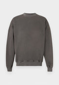 Abercrombie & Fitch ESSENTIAL CREW QUIET SHADE