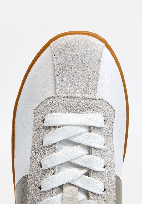 Pollini