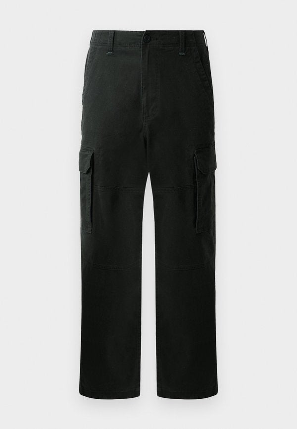 Hollister Co. SKATER BAGGY