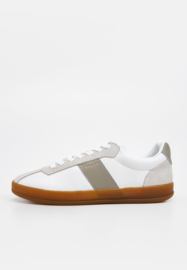 Pollini