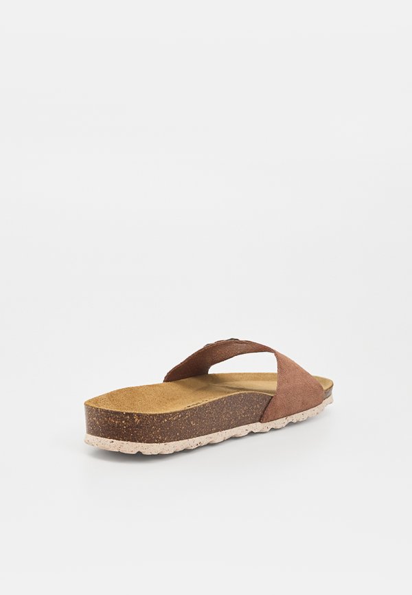 BAYTON ZEPHYR