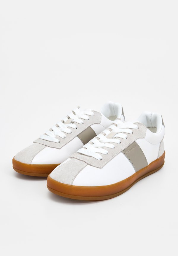 Pollini