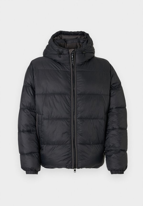 Abercrombie & Fitch AIRCLOUD HOODED PUFFER