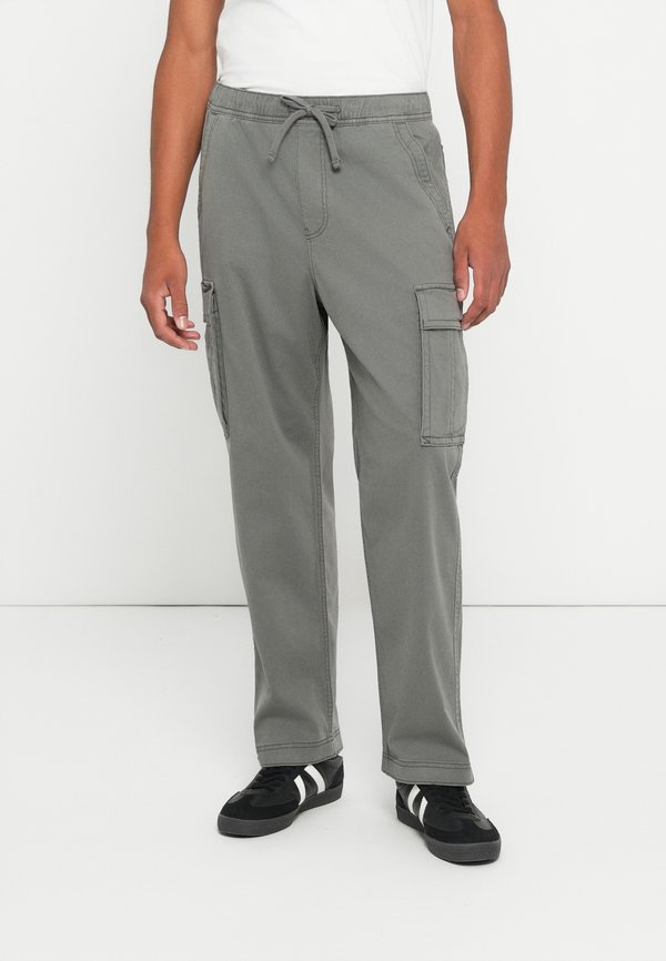 Hollister Co. BAGGY