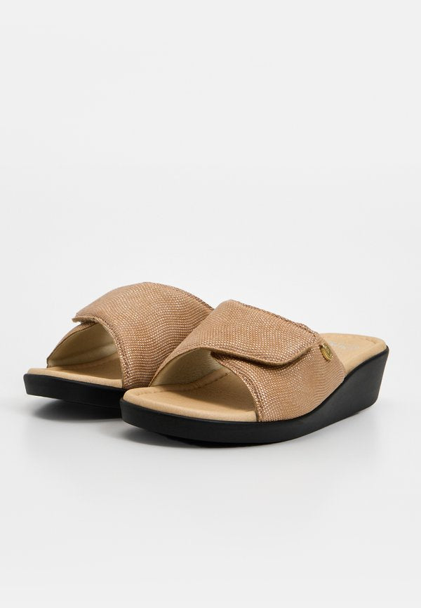 Scholl LEDEL