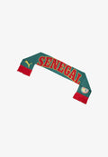 Puma SENEGAL FTBLCULTURE SCHAL UNISEX  - Scarf - red-wild green