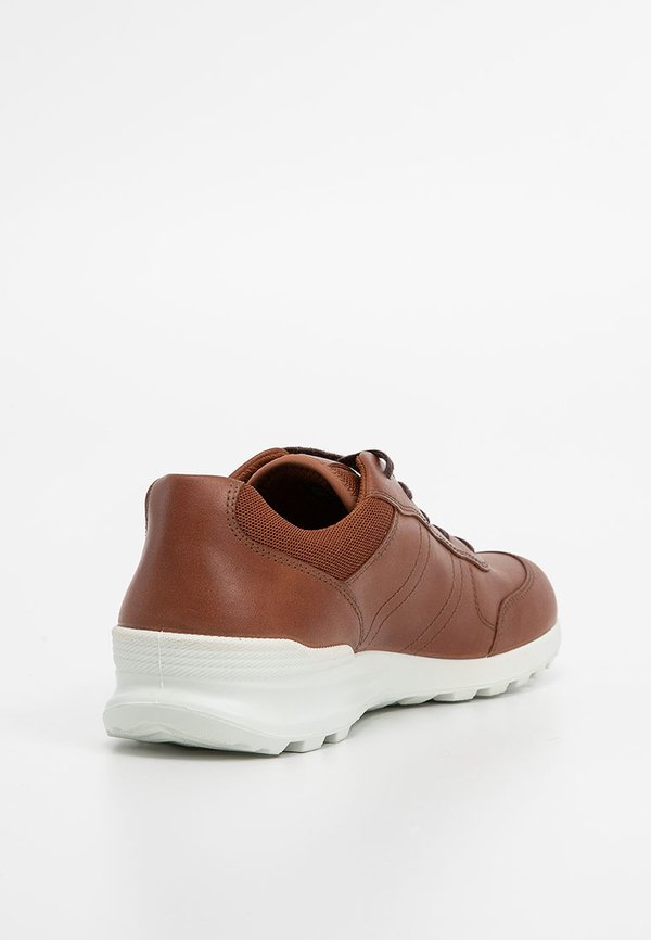 ECCO CS25