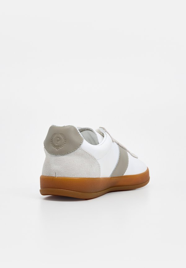 Pollini