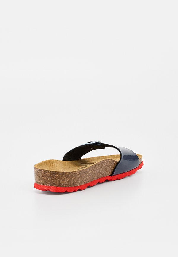 BAYTON ZEPHYR