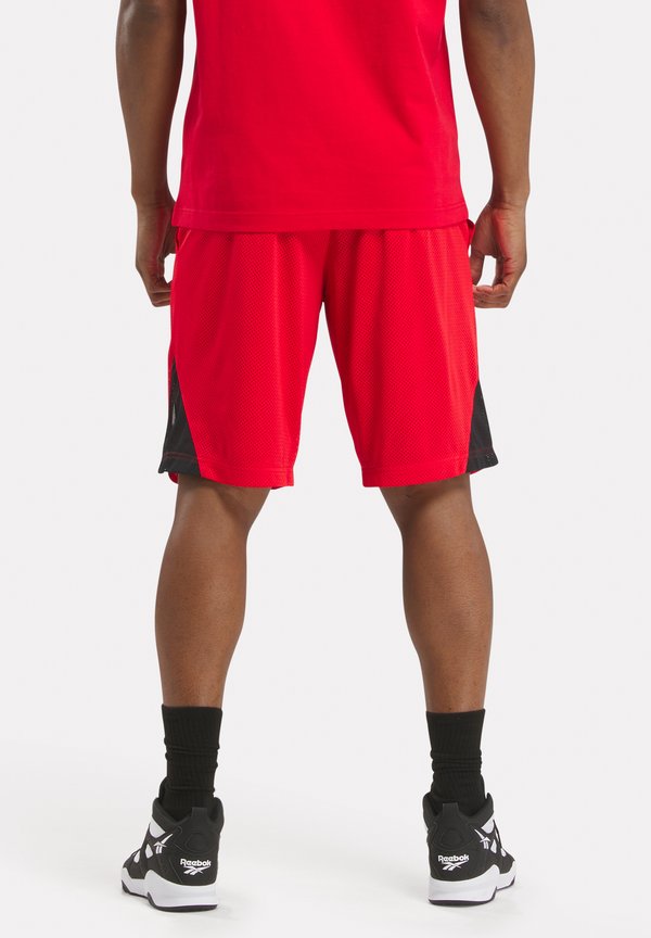 Reebok Classic HOOPWEAR