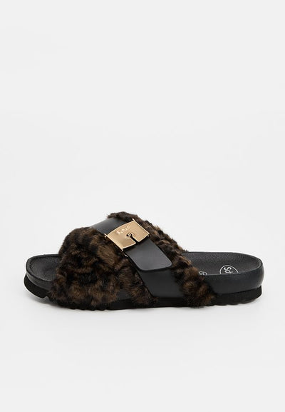 Scholl AMBER