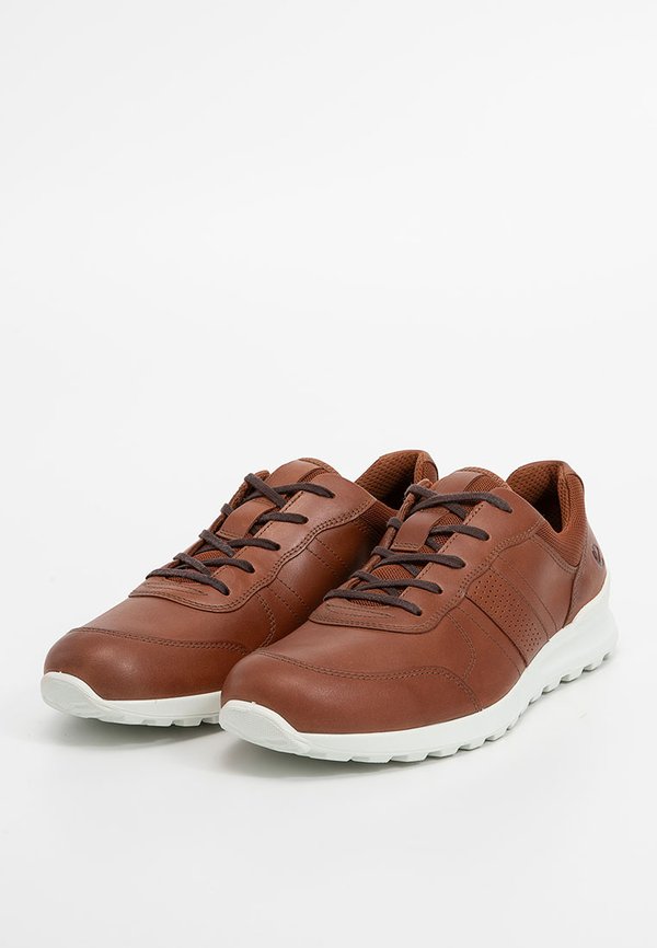ECCO CS25
