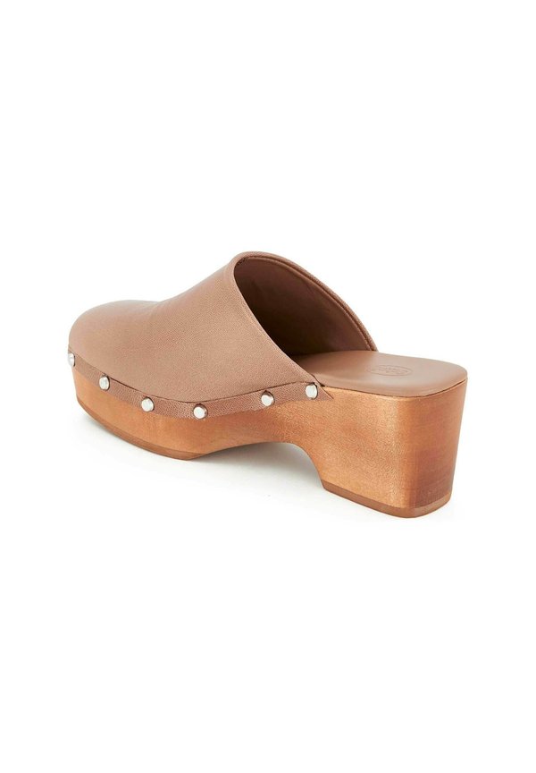 Scholl HAILEY