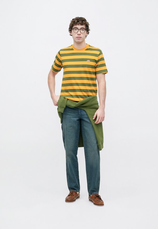Dickies RIVERGROVE TEE