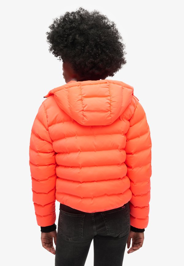Superdry & Co ALL SEASONS