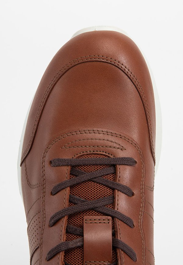 ECCO CS25