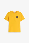 Tommy Hilfiger BRAND LOVE - Print T-shirt - orange flash