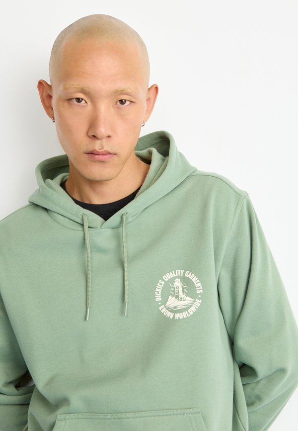 Dickies PARROTSVILLE HOODIE