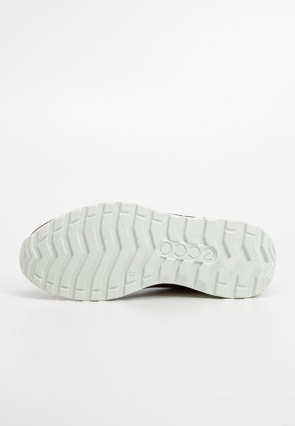 ECCO CS25