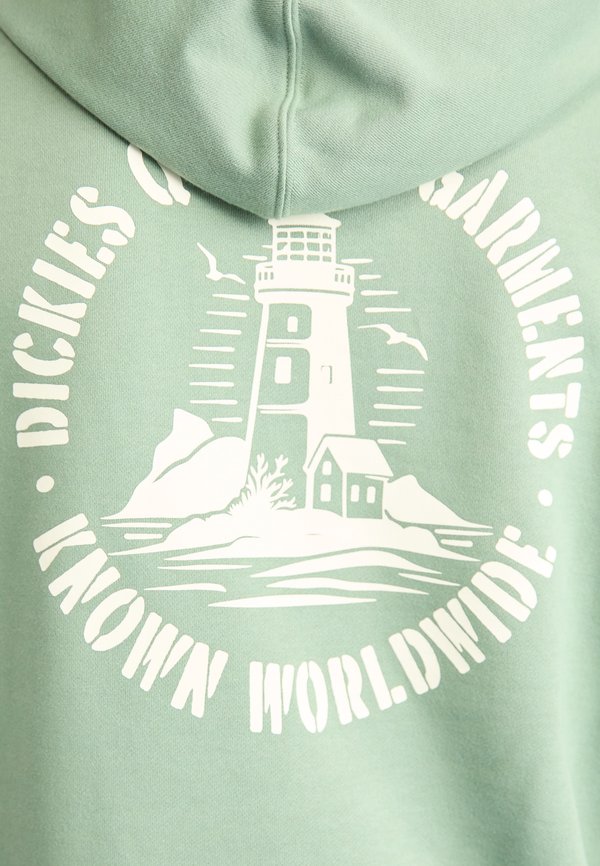 Dickies PARROTSVILLE HOODIE