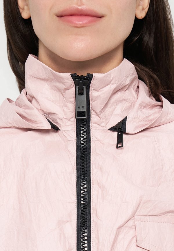 Armani Exchange