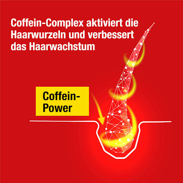 Haarwasser Coffein Liquid Alpecin