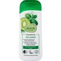 Shampoo Volumen alverde NATURKOSMETIK