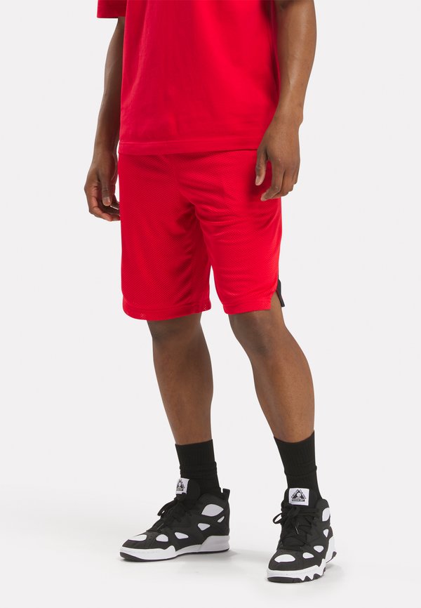 Reebok Classic HOOPWEAR